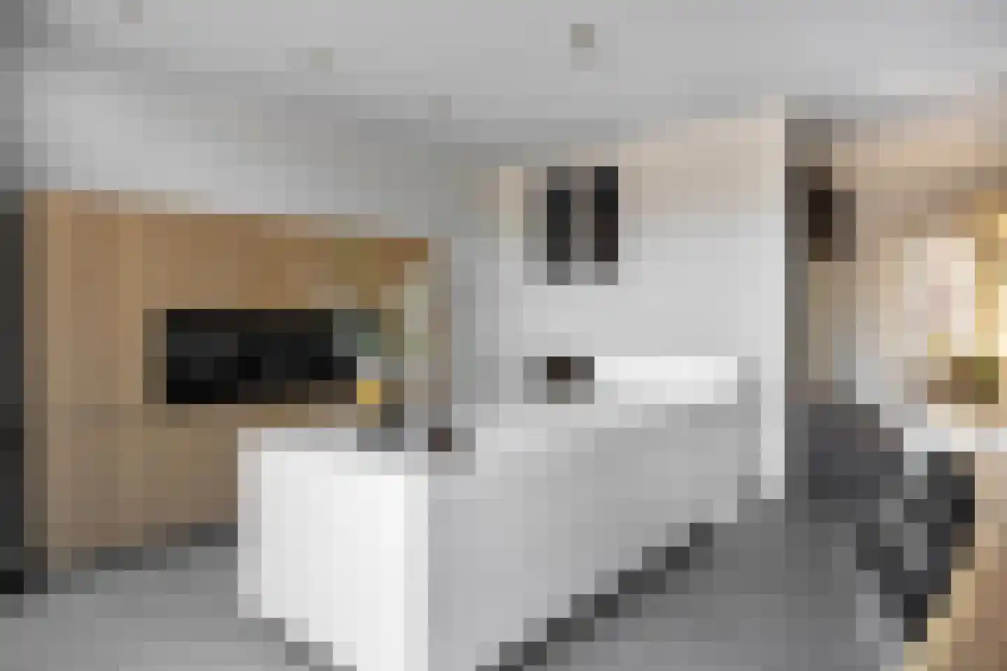 Rhijnvis Feithlaan 7 Zwolle thumbnail 22