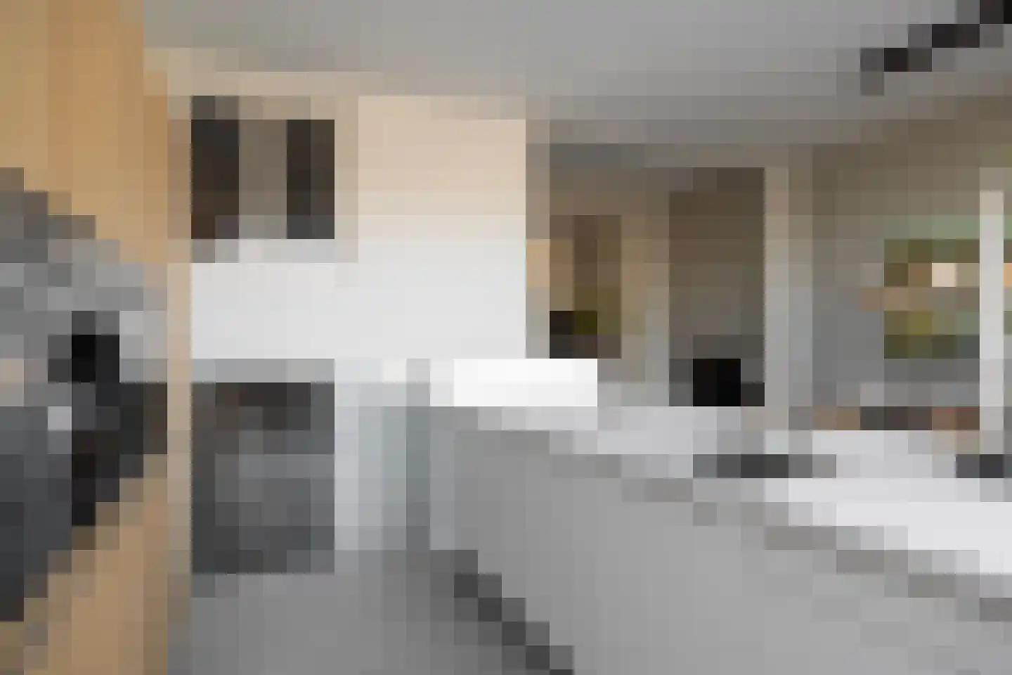 Rhijnvis Feithlaan 7 Zwolle thumbnail 23