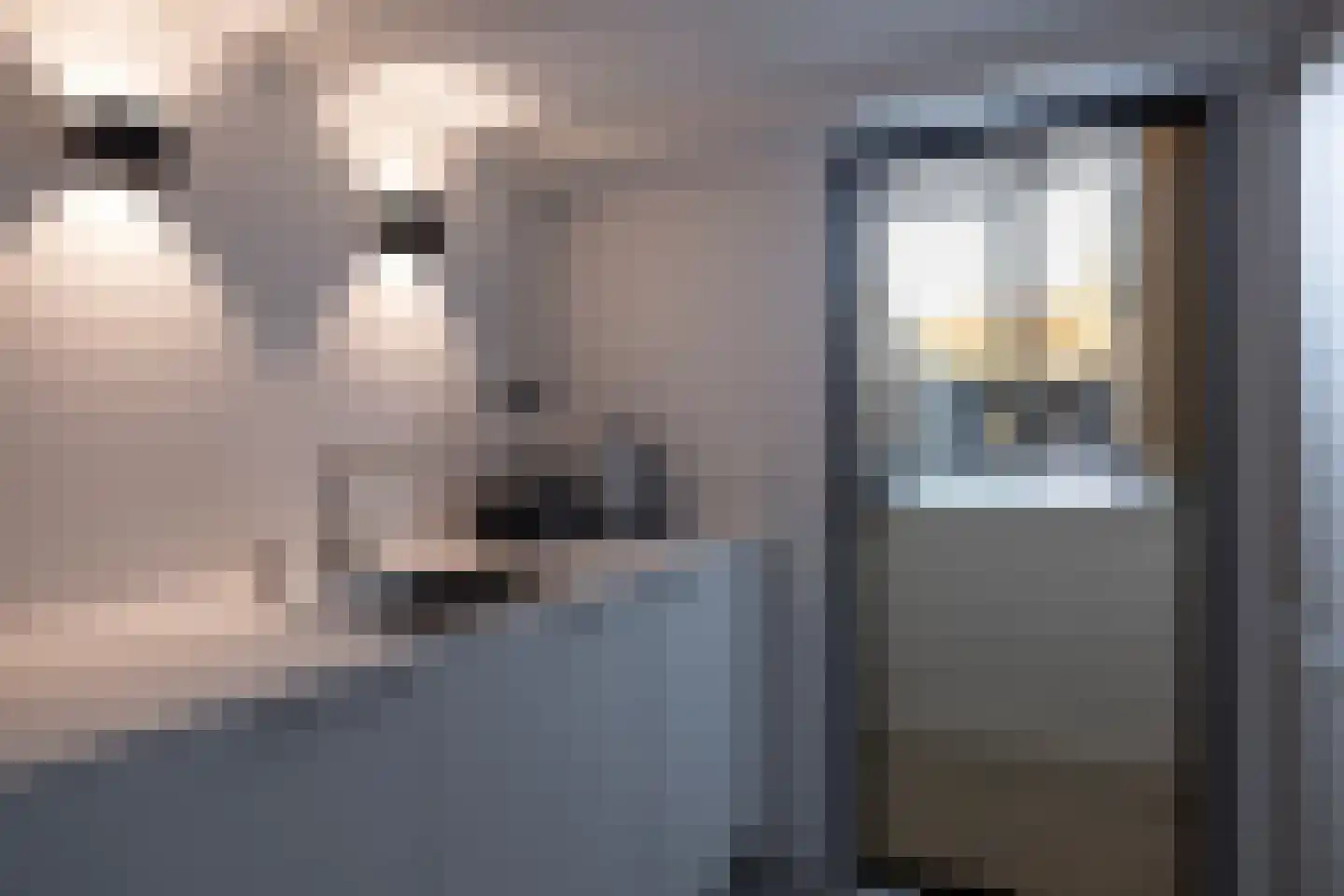 Rhijnvis Feithlaan 7 Zwolle thumbnail 29