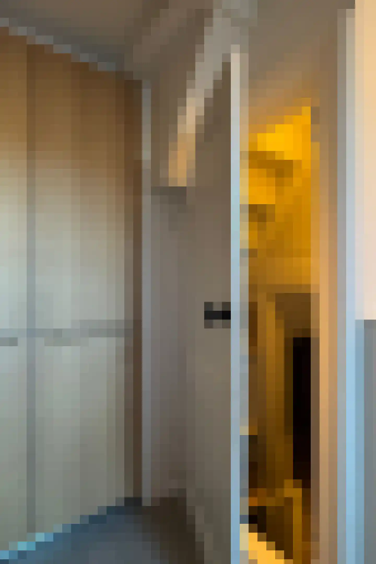 Rhijnvis Feithlaan 7 Zwolle thumbnail 31