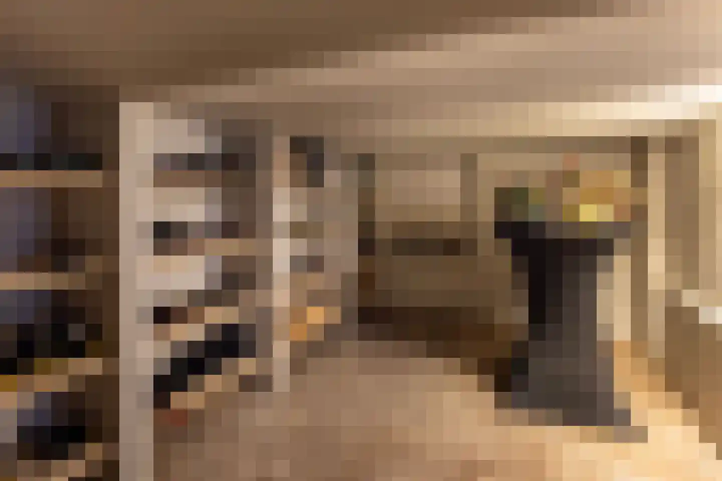 Rhijnvis Feithlaan 7 Zwolle thumbnail 33