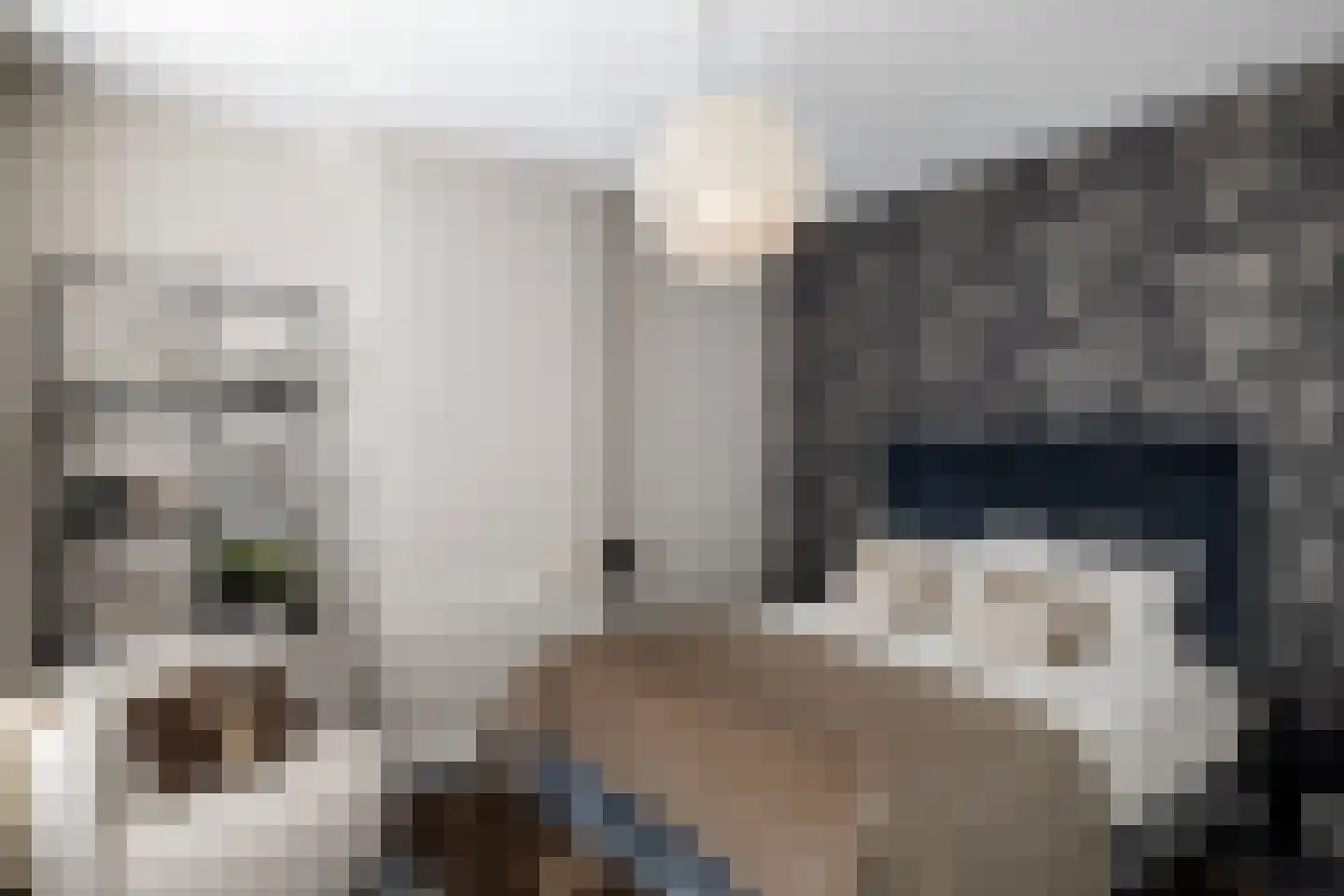Rhijnvis Feithlaan 7 Zwolle thumbnail 41