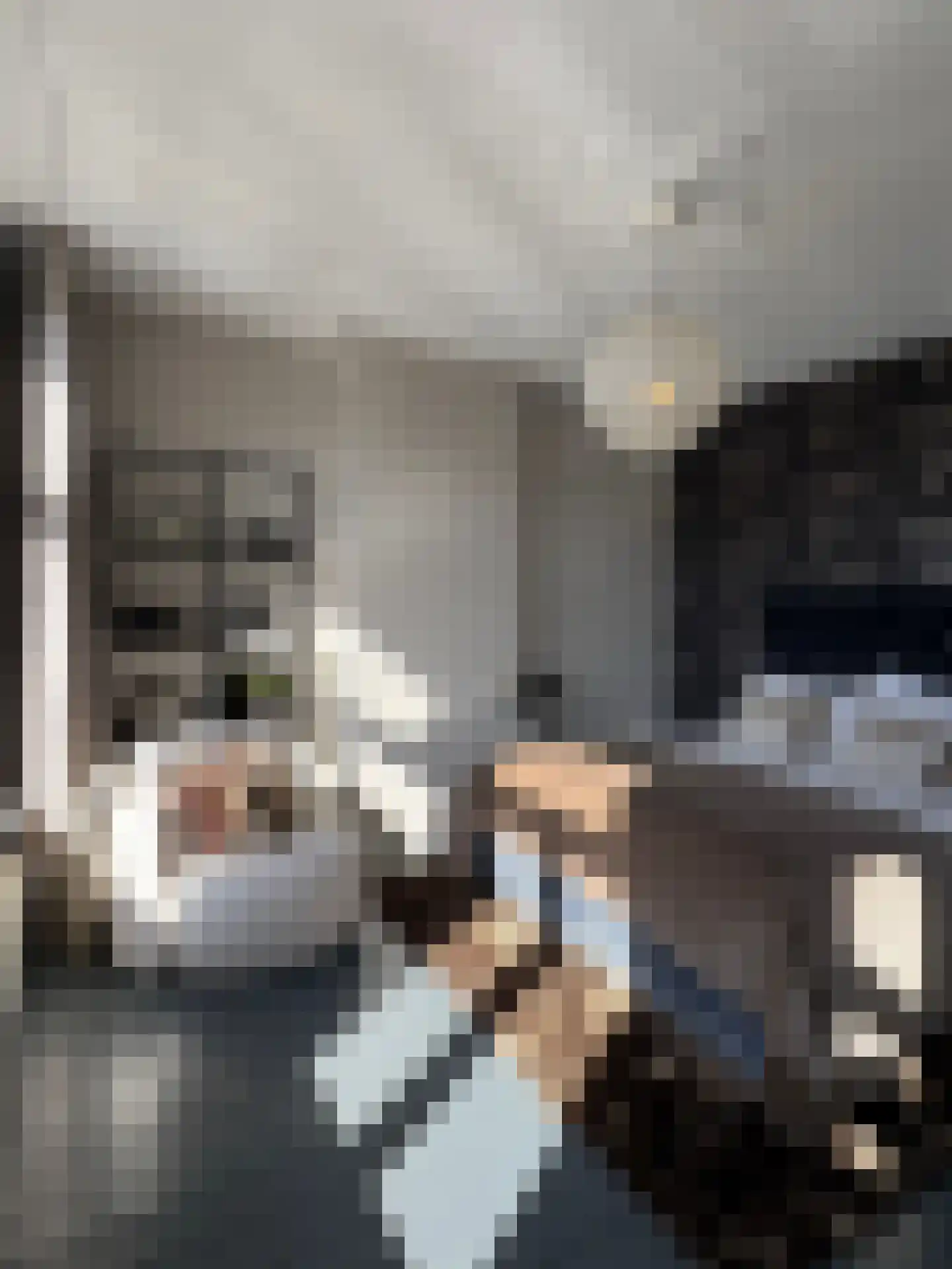 Rhijnvis Feithlaan 7 Zwolle thumbnail 45