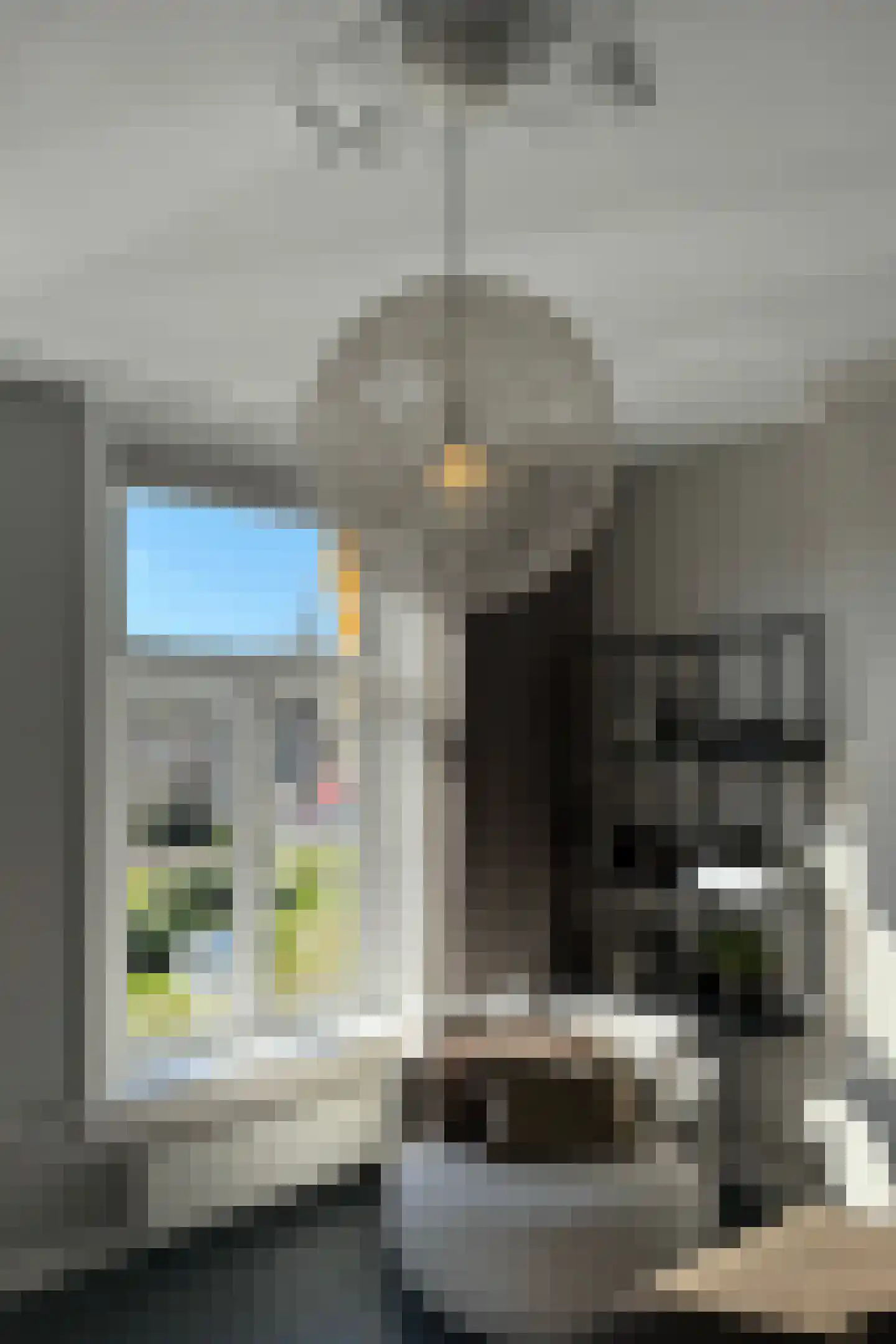 Rhijnvis Feithlaan 7 Zwolle thumbnail 46