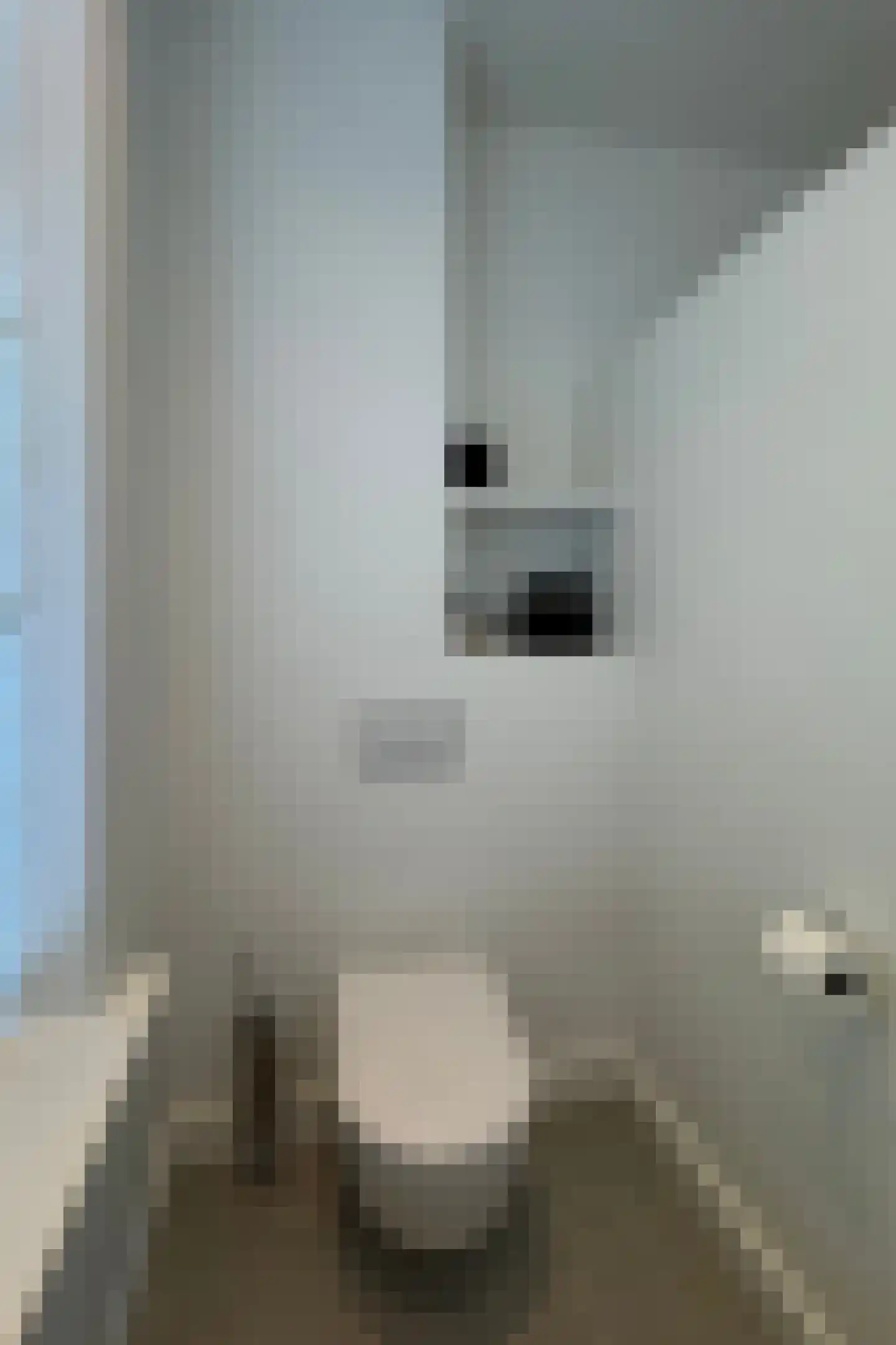 Rhijnvis Feithlaan 7 Zwolle thumbnail 53