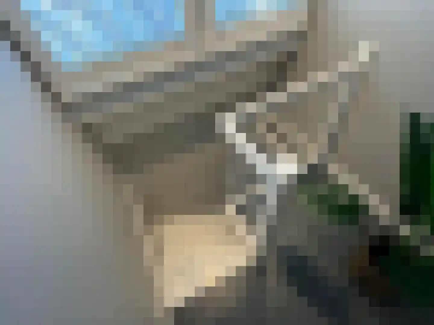 Rhijnvis Feithlaan 7 Zwolle thumbnail 54