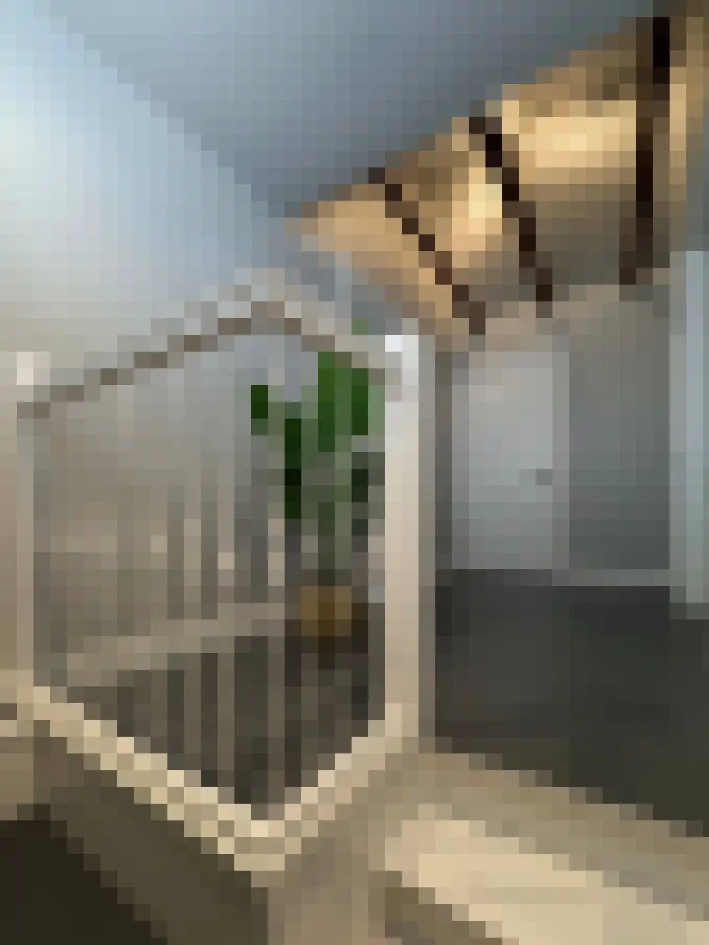 Rhijnvis Feithlaan 7 Zwolle thumbnail 55