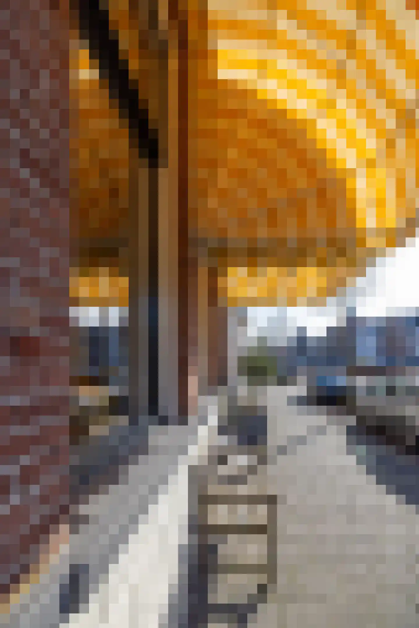 Rhijnvis Feithlaan 7 Zwolle thumbnail 6