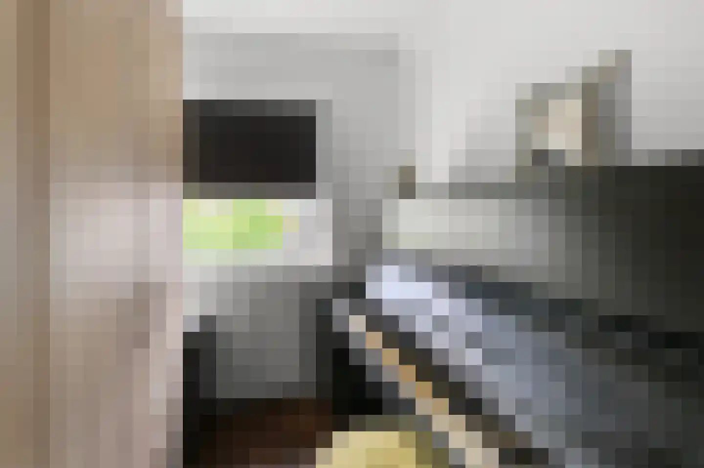 Rhijnvis Feithlaan 74 Alkmaar thumbnail 21