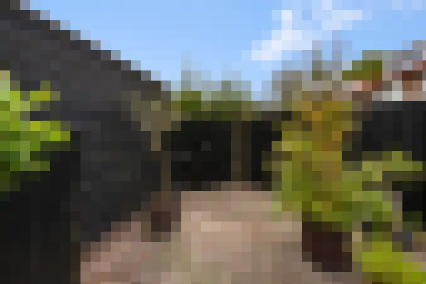 Rhijnvis Feithlaan 74 Alkmaar thumbnail 33