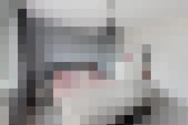 Rhijnvis Feithlaan 94 Alkmaar thumbnail 14