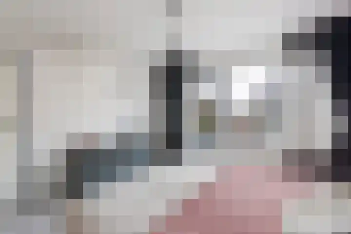 Rhijnvis Feithlaan 94 Alkmaar thumbnail 15