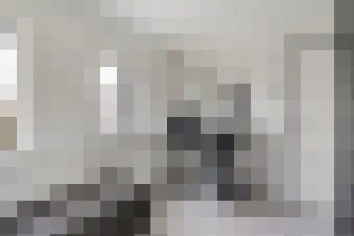 Rhijnvis Feithlaan 94 Alkmaar thumbnail 17