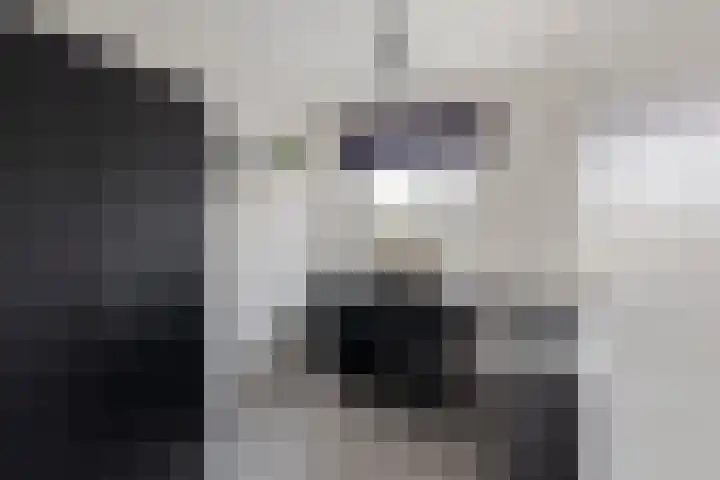 Rhijnvis Feithlaan 94 Alkmaar thumbnail 19