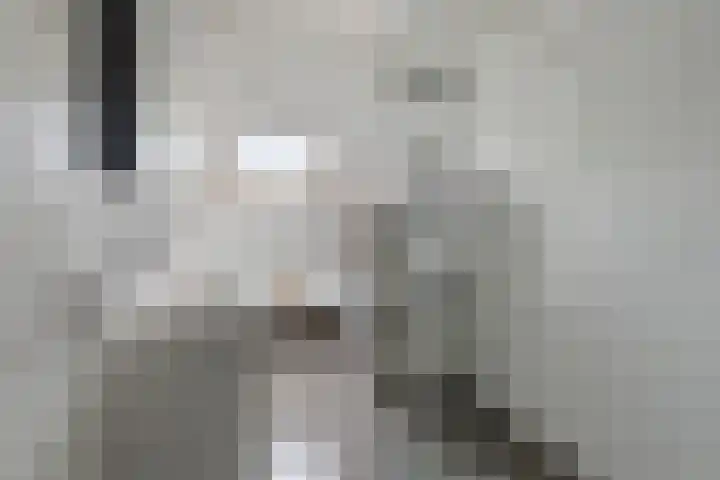 Rhijnvis Feithlaan 94 Alkmaar thumbnail 20
