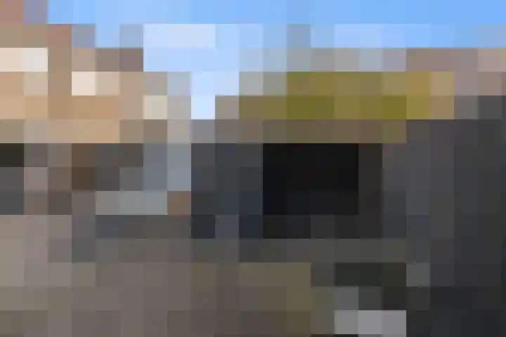 Rhijnvis Feithlaan 94 Alkmaar thumbnail 29