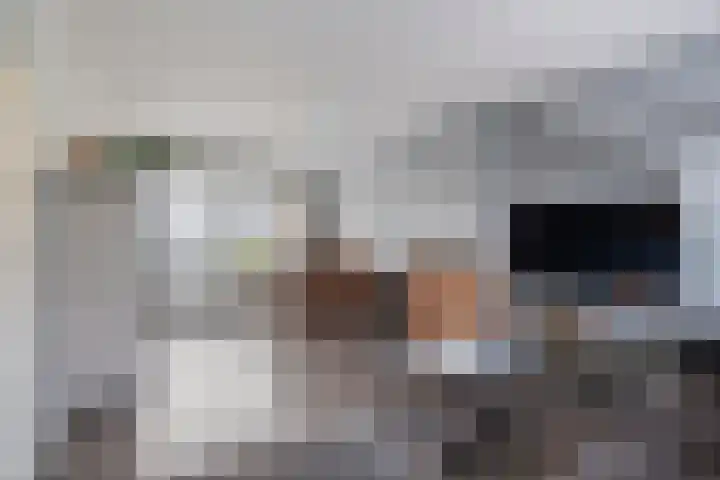 Rhijnvis Feithlaan 94 Alkmaar thumbnail 4