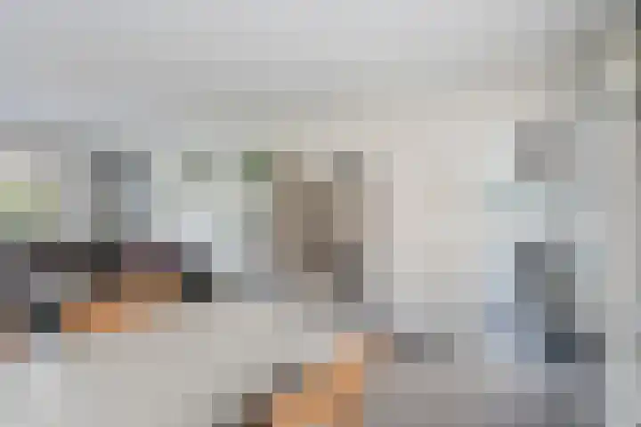 Rhijnvis Feithlaan 94 Alkmaar thumbnail 7