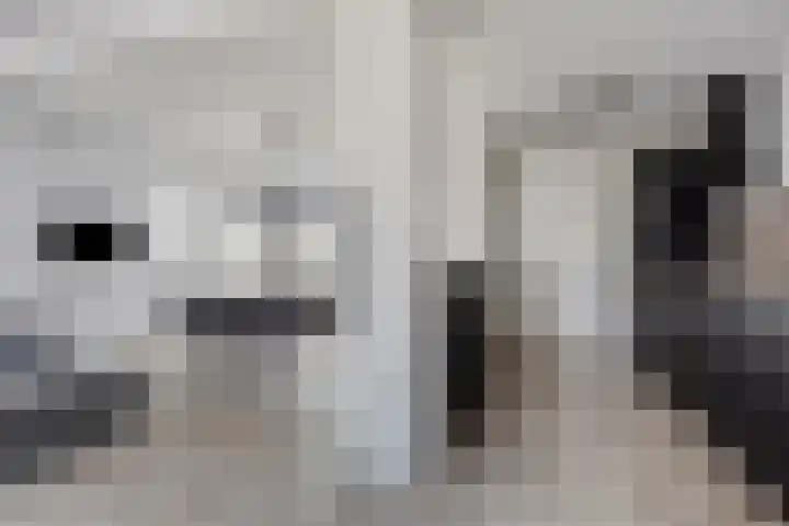 Rhijnvis Feithstraat 1 Hoogezand thumbnail 12