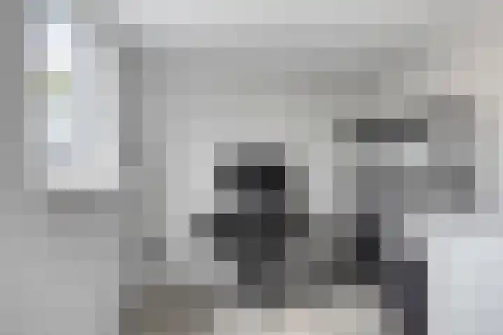 Rhijnvis Feithstraat 1 Hoogezand thumbnail 17