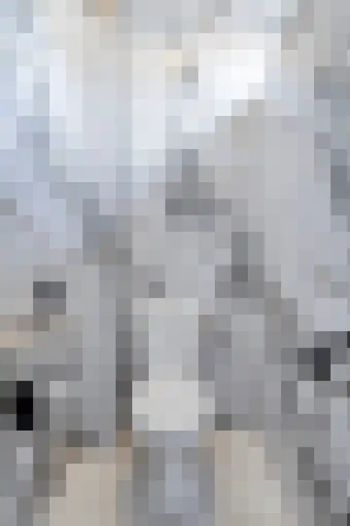 Rhijnvis Feithstraat 1 Hoogezand thumbnail 22