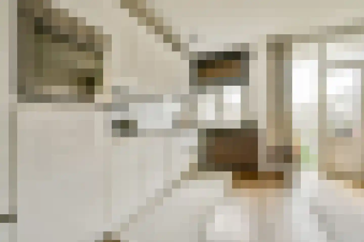 Rhijnvis Feithstraat 10 1 Amsterdam thumbnail 10