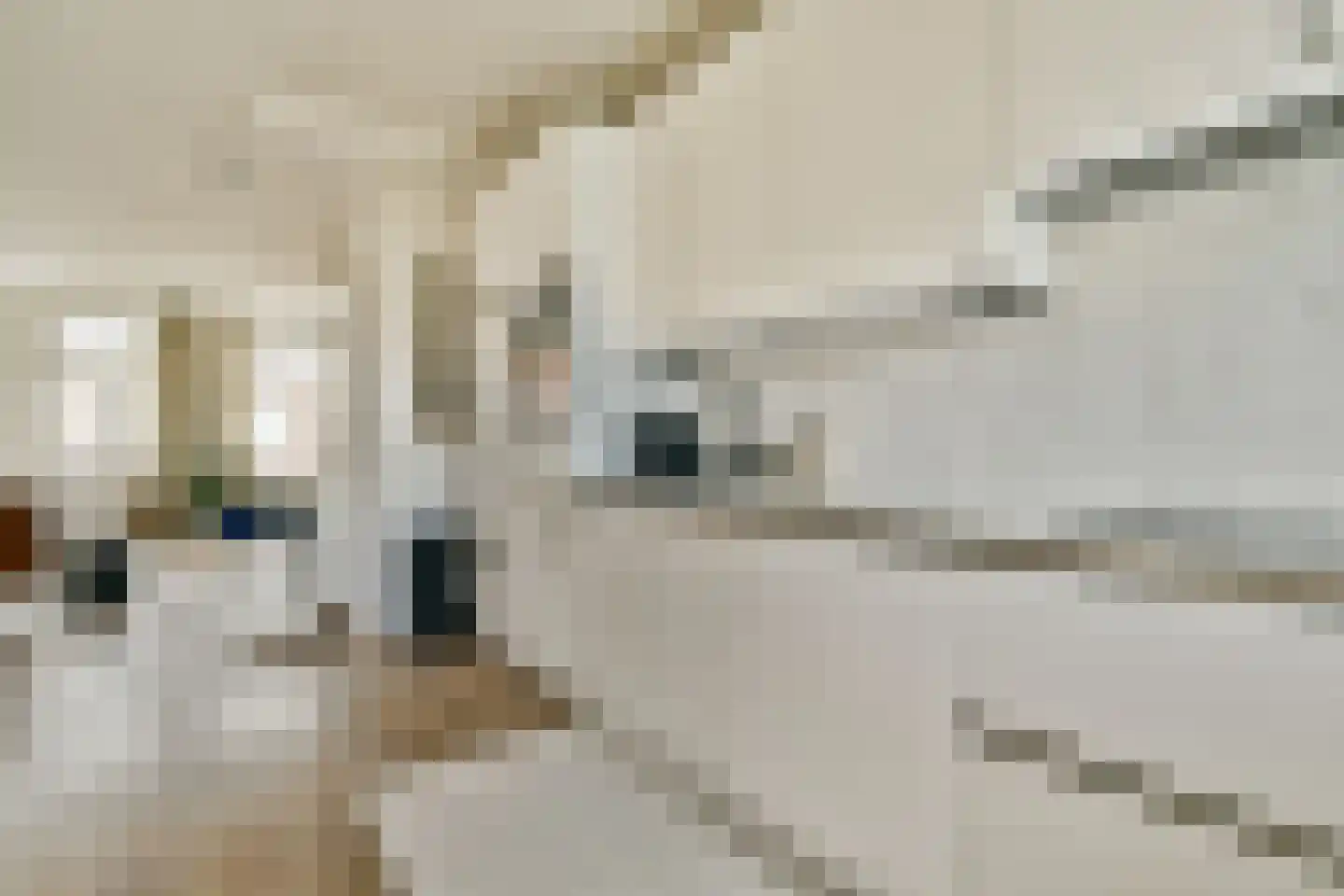 Rhijnvis Feithstraat 10 1 Amsterdam thumbnail 11