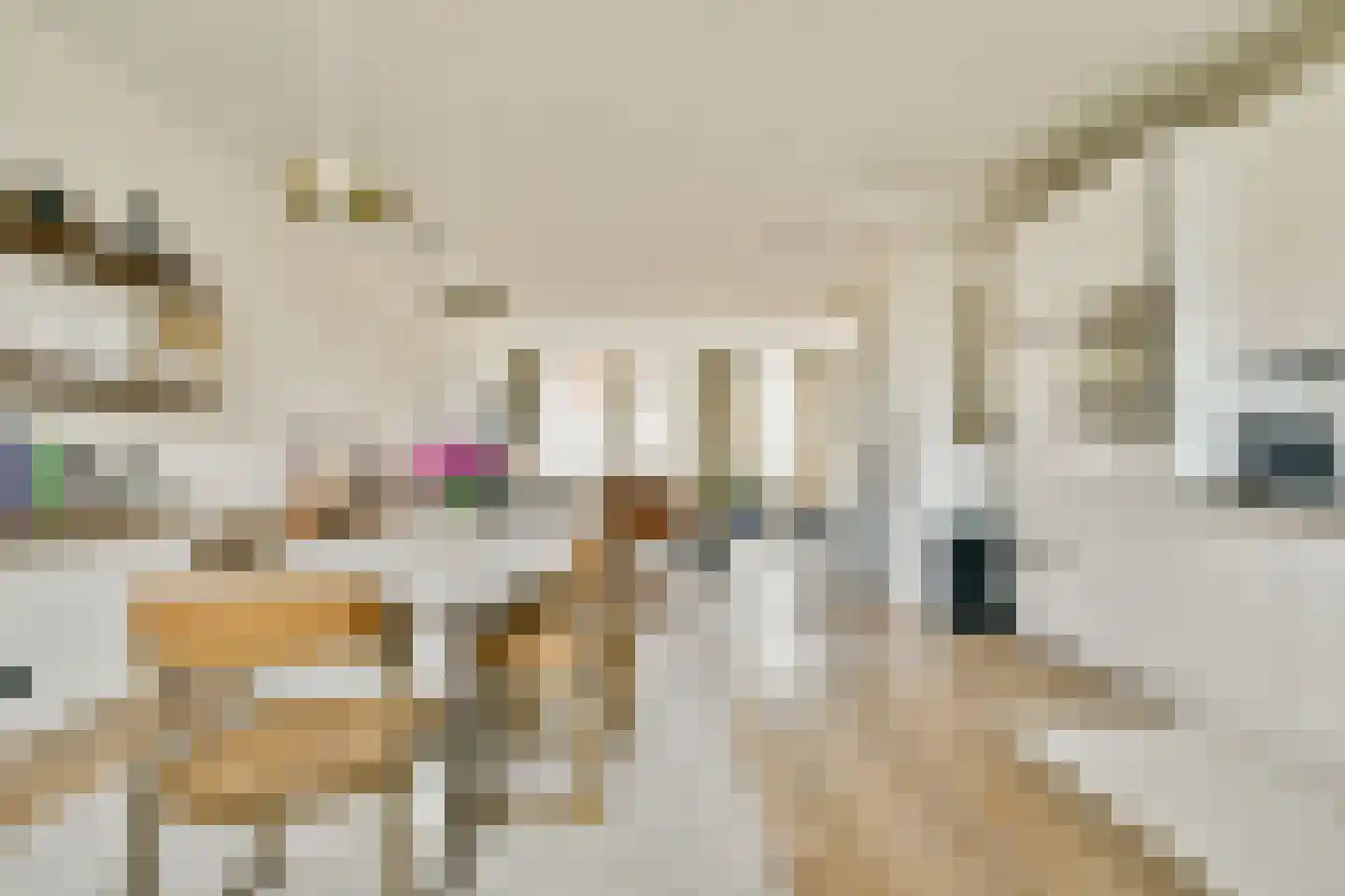 Rhijnvis Feithstraat 10 1 Amsterdam thumbnail 6