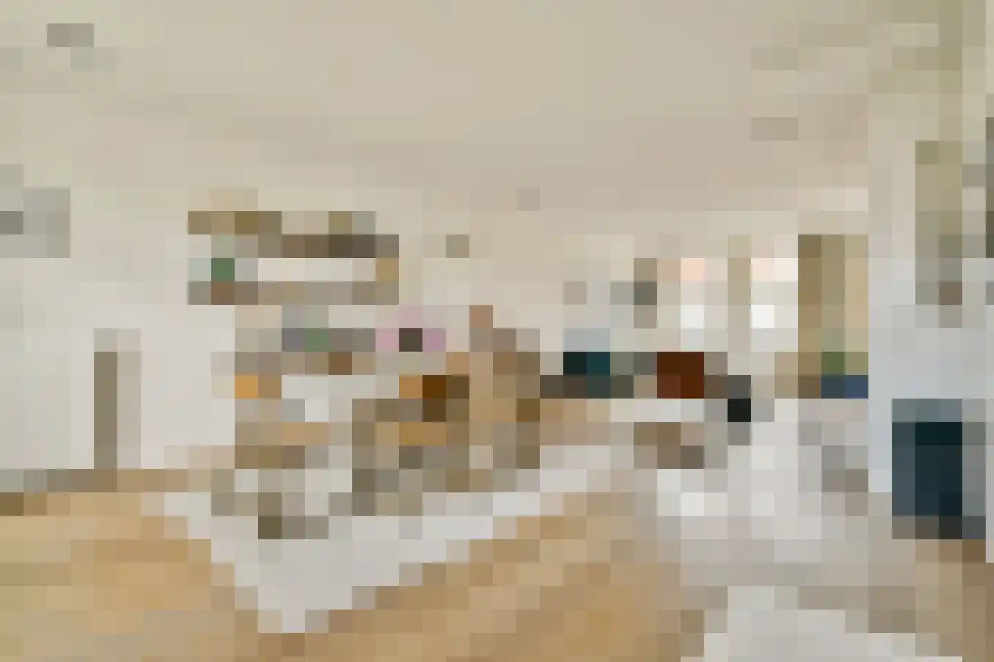 Rhijnvis Feithstraat 10 1 Amsterdam thumbnail 7