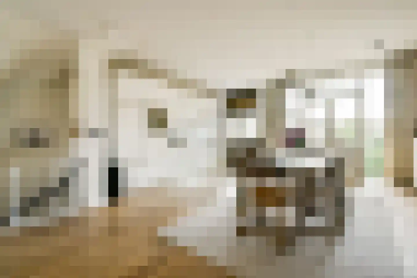 Rhijnvis Feithstraat 10 1 Amsterdam thumbnail 9