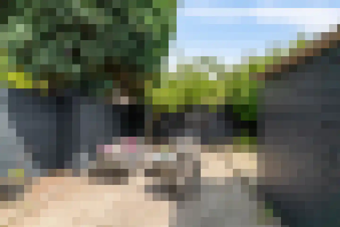 Rhijnvis Feithstraat 13 Hoogezand thumbnail 26