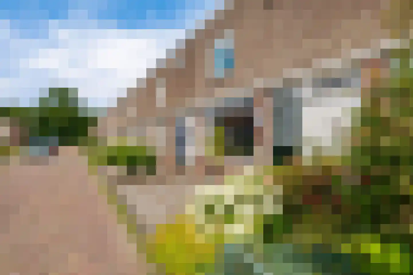 Rhijnvis Feithstraat 13 Hoogezand thumbnail 5