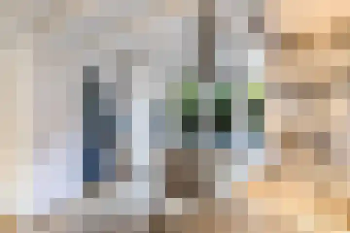 Rhijnvis Feithstraat 16 Utrecht thumbnail 12