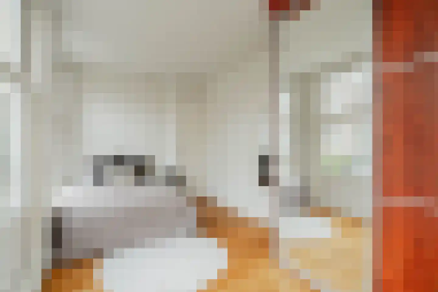 Rhijnvis Feithstraat 2 1 Amsterdam thumbnail 12