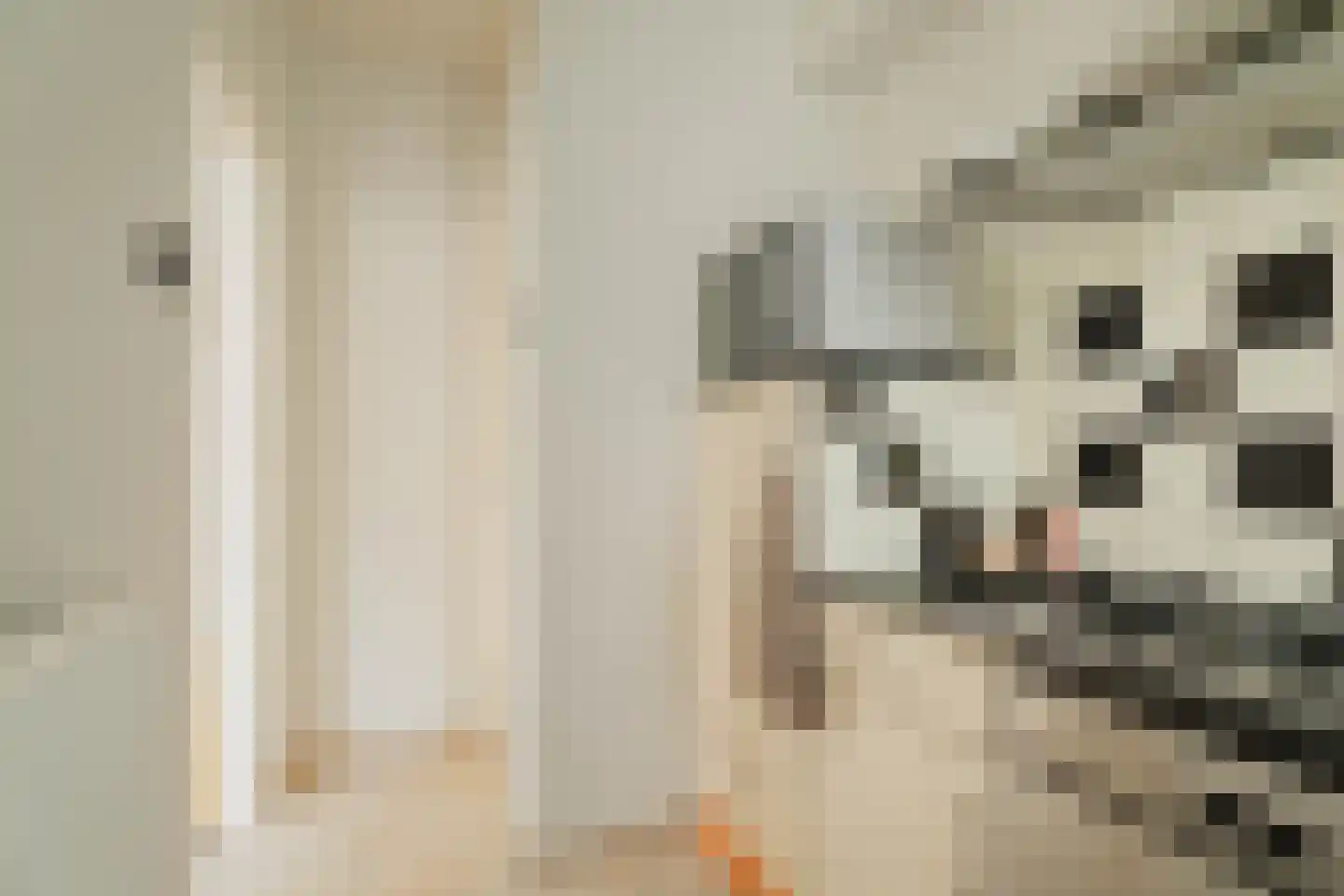 Rhijnvis Feithstraat 2 1 Amsterdam thumbnail 15
