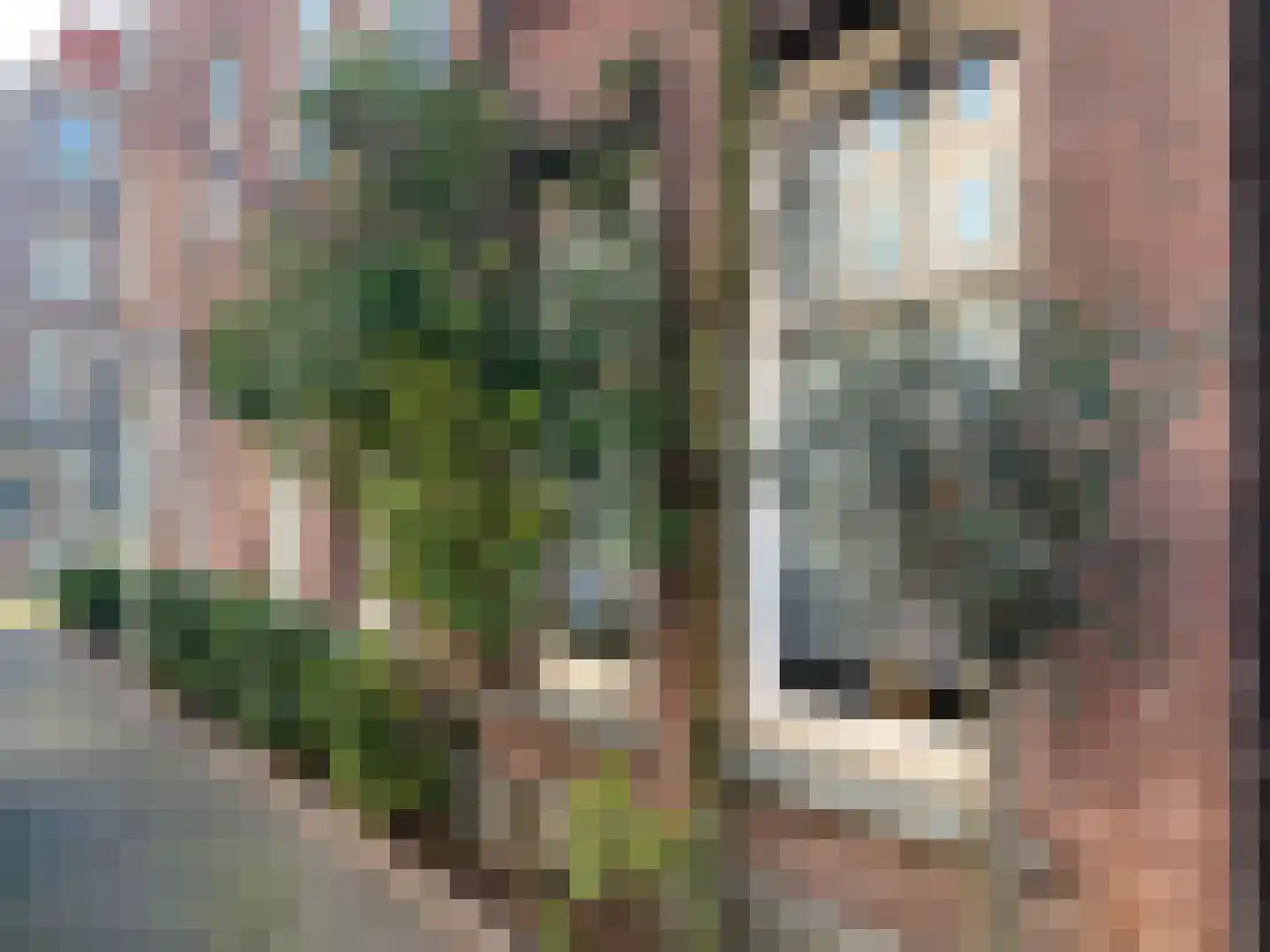Rhijnvis Feithstraat 2 2 Amsterdam thumbnail 6