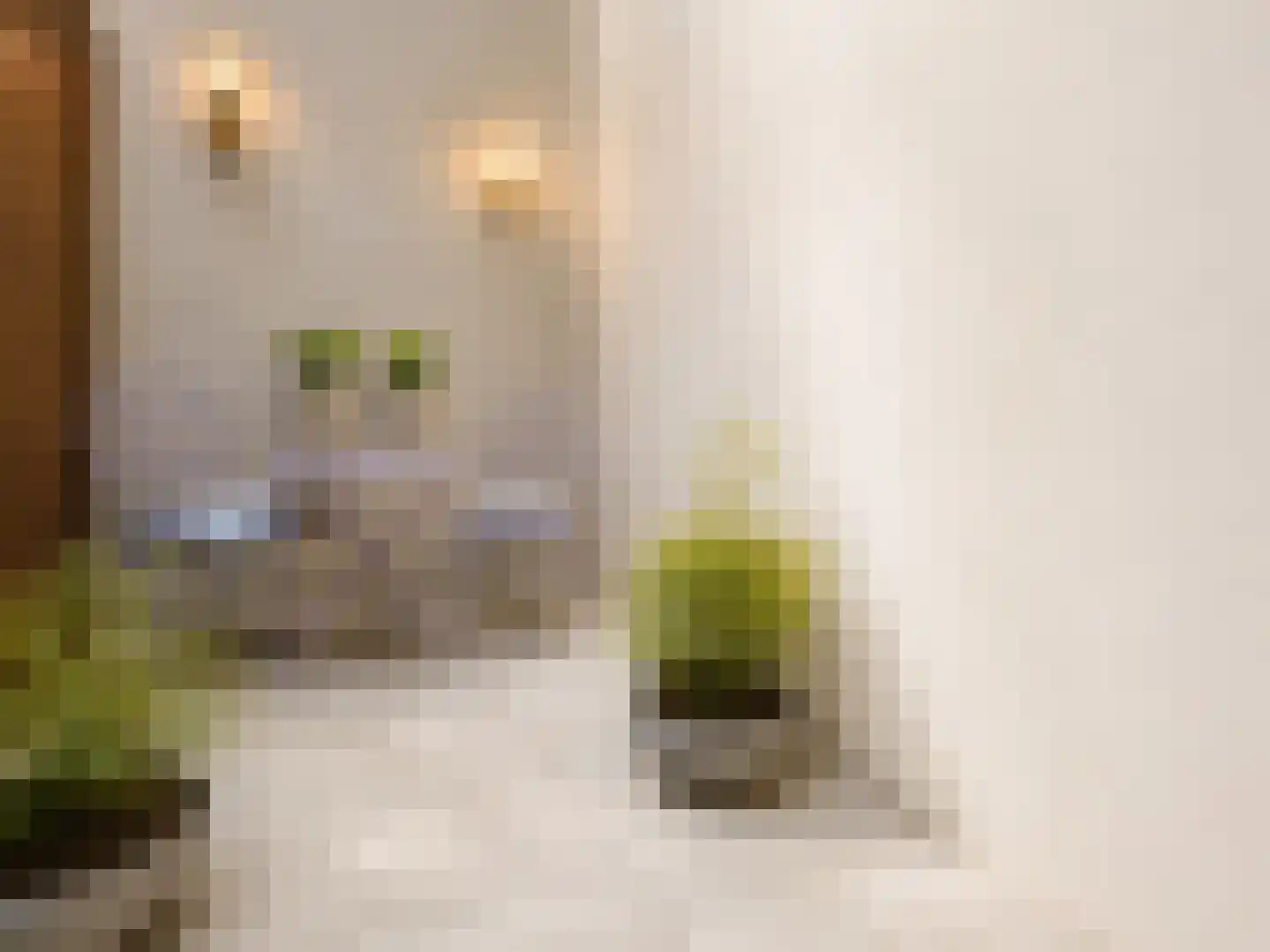 Rhijnvis Feithstraat 2 H Amsterdam thumbnail 15