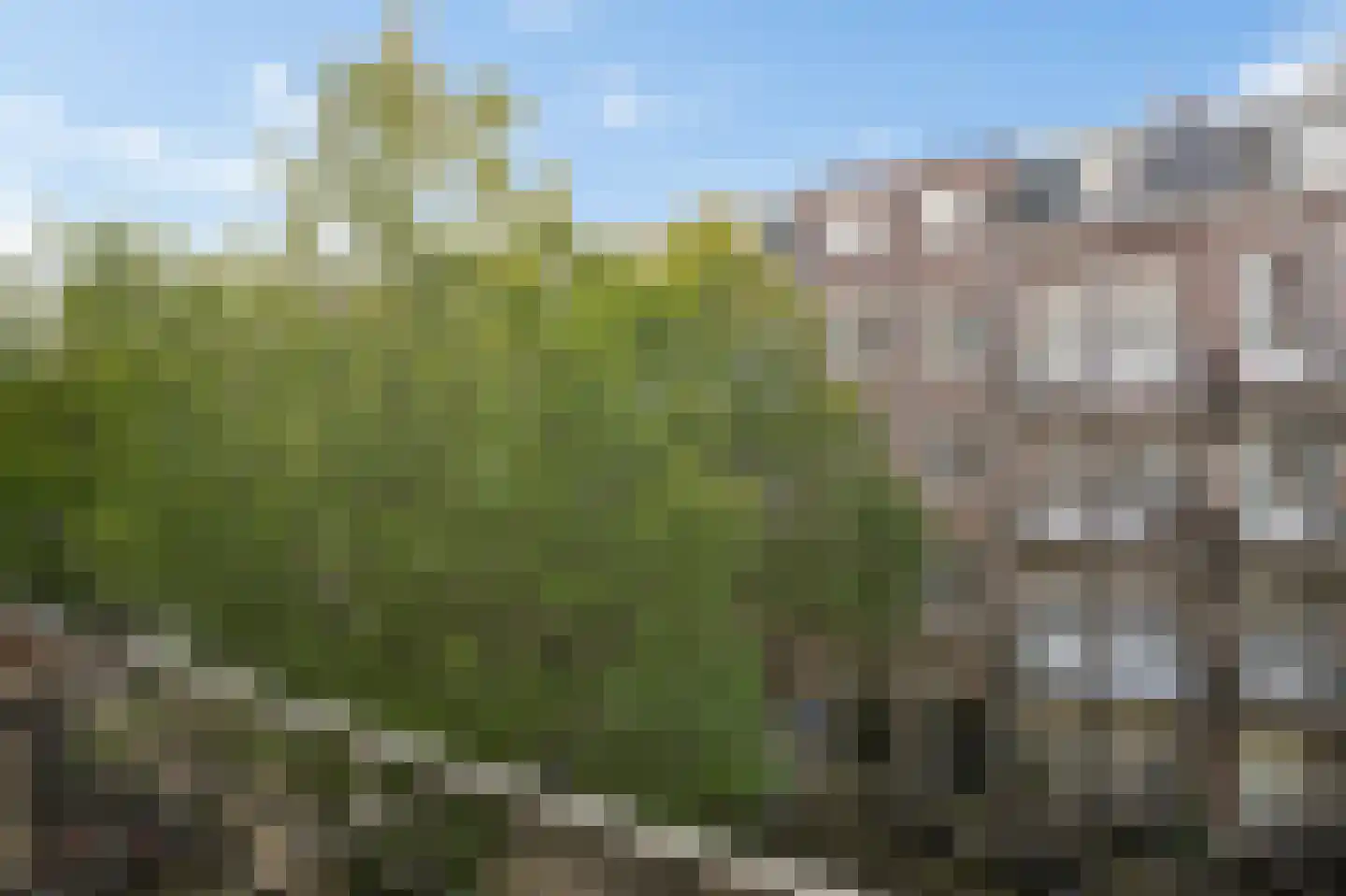 Rhijnvis Feithstraat 21 2 Amsterdam thumbnail 12