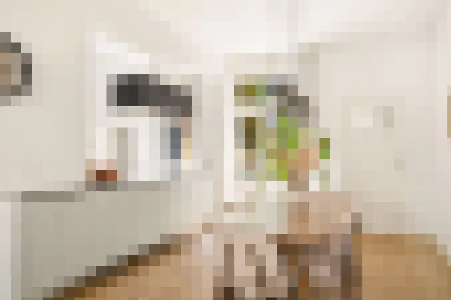 Rhijnvis Feithstraat 44 1 Amsterdam thumbnail 10