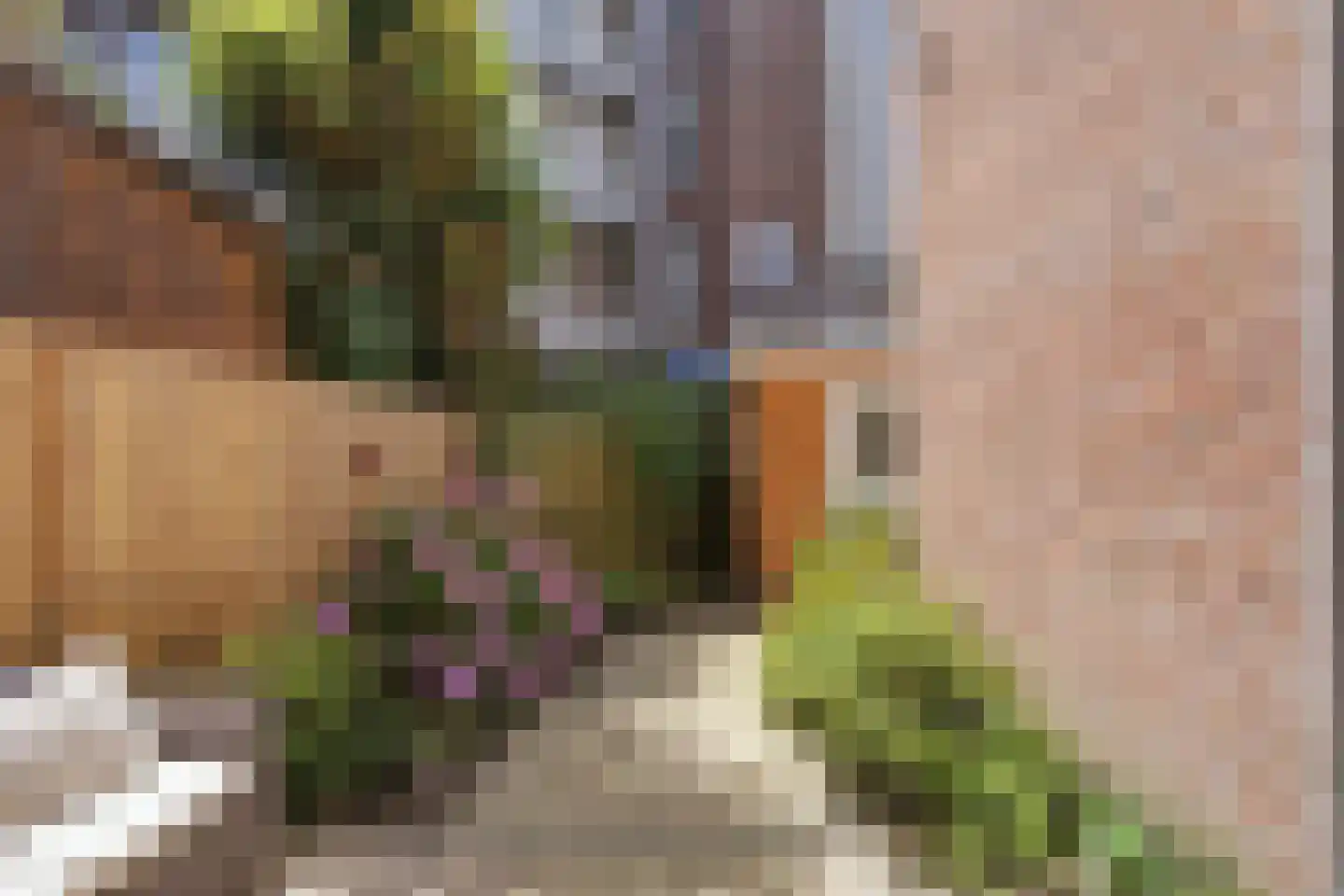 Rhijnvis Feithstraat 44 1 Amsterdam thumbnail 19