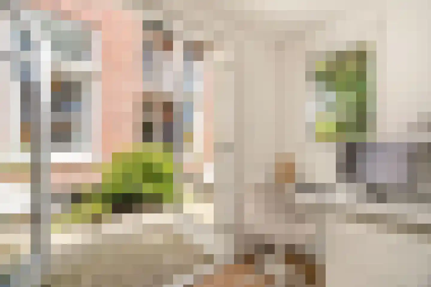 Rhijnvis Feithstraat 44 1 Amsterdam thumbnail 23