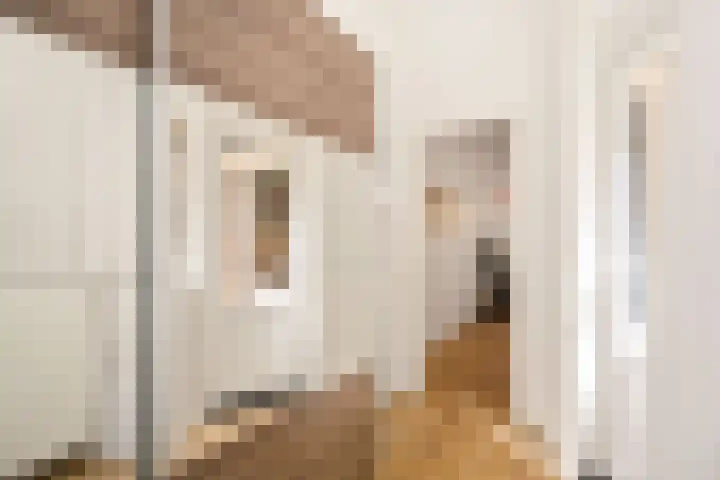 Rhijnvis Feithstraat 44 1 Amsterdam thumbnail 28