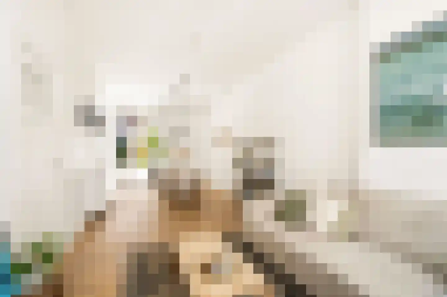 Rhijnvis Feithstraat 44 1 Amsterdam thumbnail 7