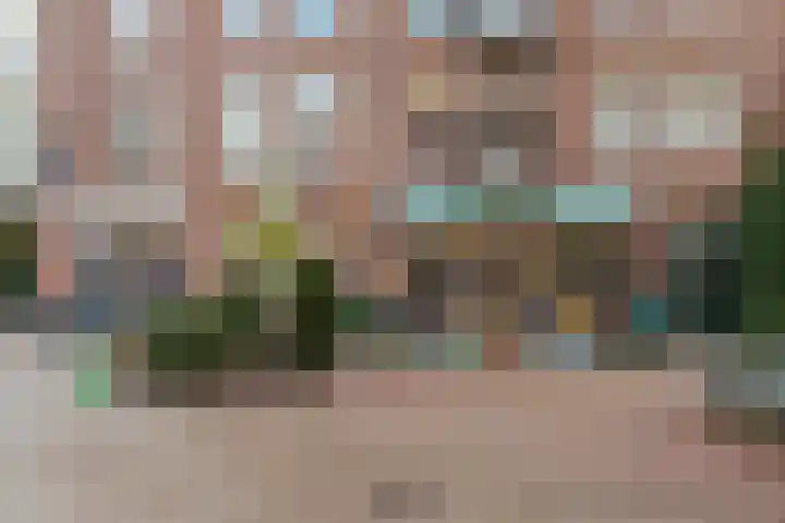 Rhijnvis Feithstraat 44 2 Amsterdam thumbnail 22
