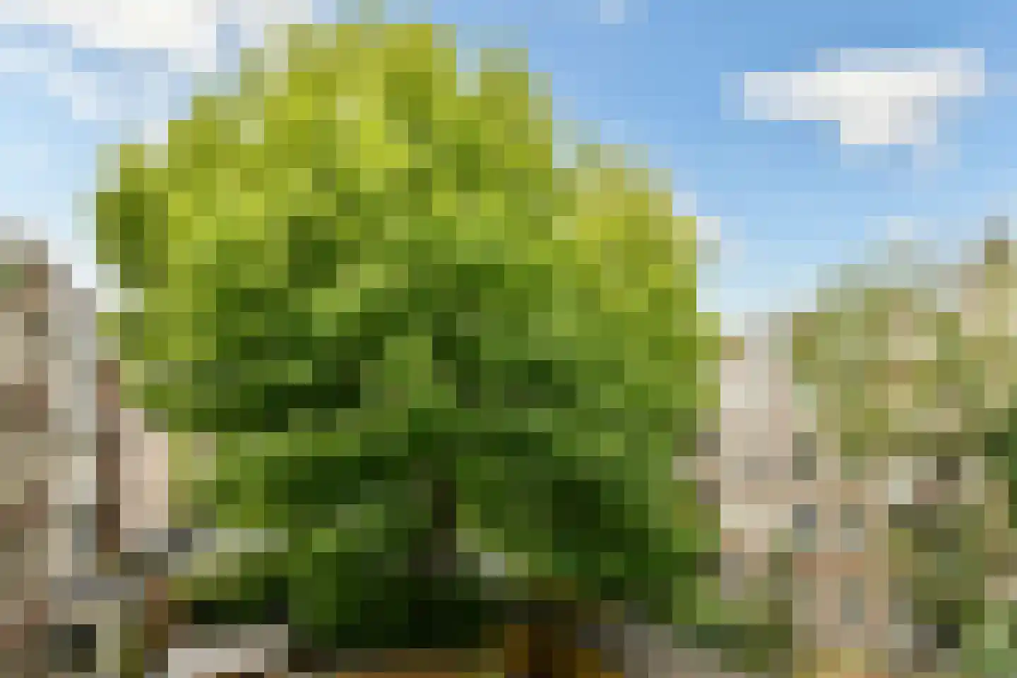 Rhijnvis Feithstraat 60 2 Amsterdam thumbnail 8