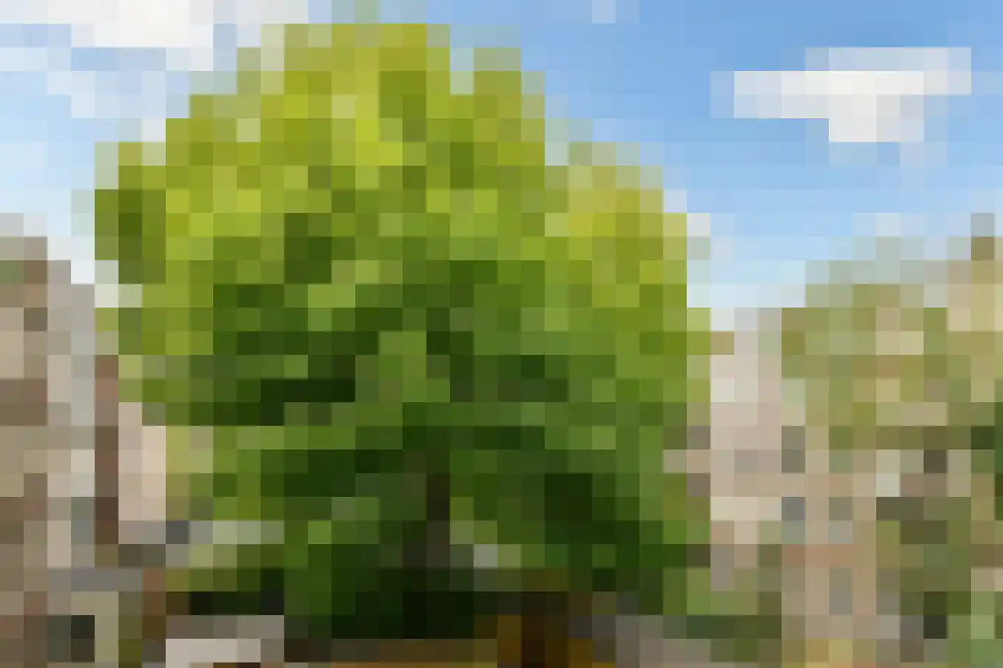 Rhijnvis Feithstraat 60 2 Amsterdam thumbnail 9