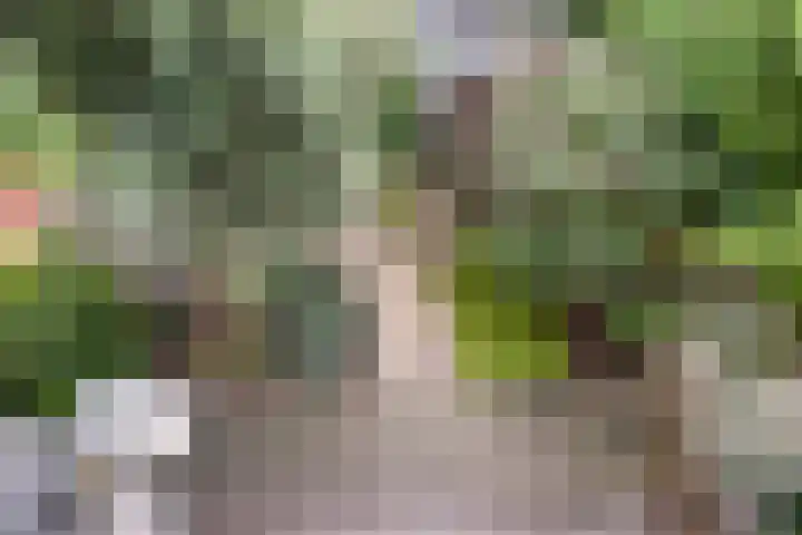 Rhijnvis Feithstraat 8 Voorburg thumbnail 21