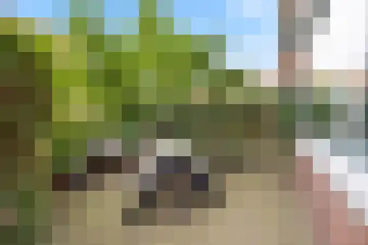 Rhijnvis Feithstraat 8 Voorburg thumbnail 5