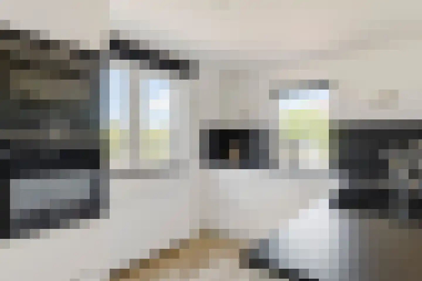Rhijnvreugd 7 Zoeterwoude thumbnail 11