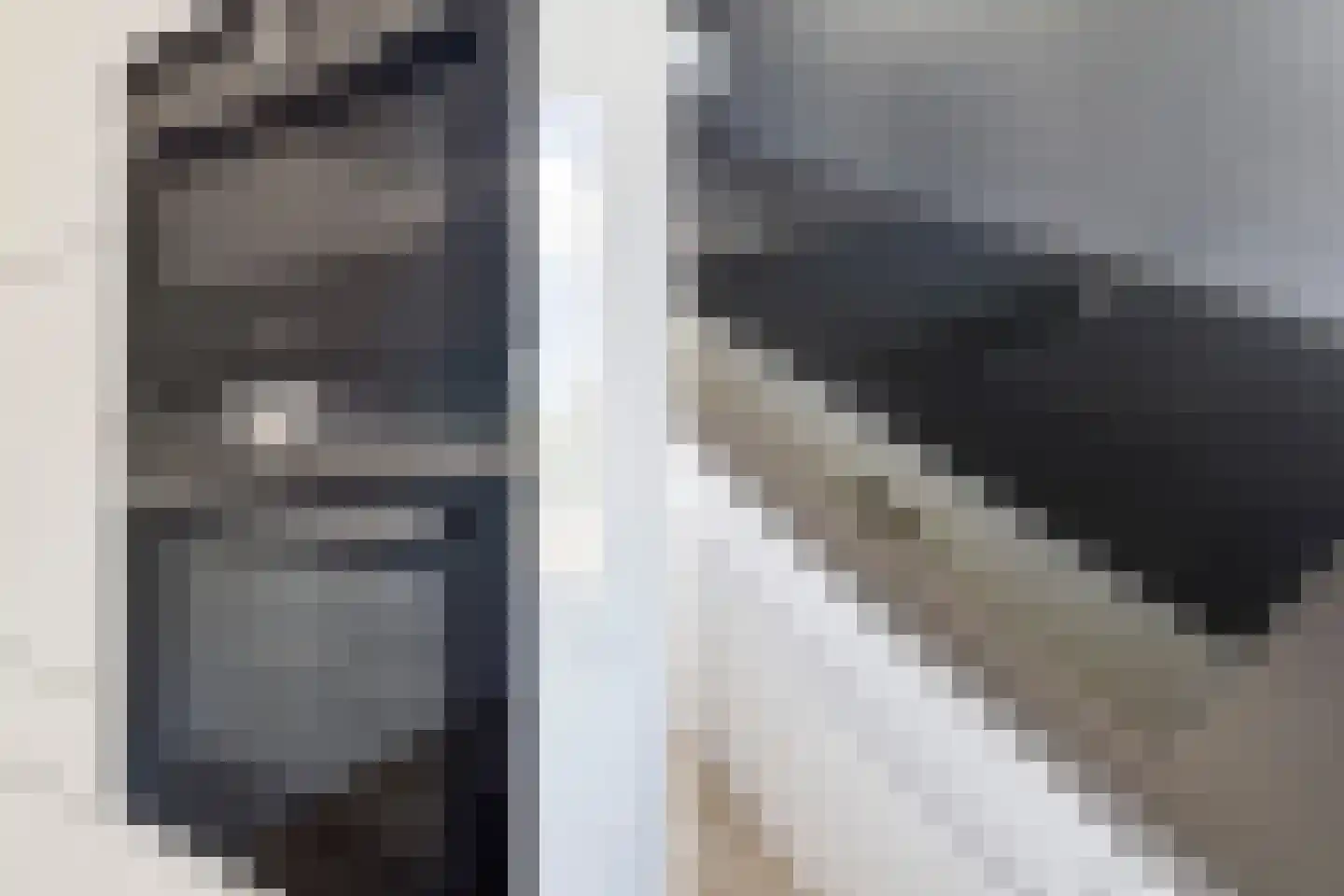 Rhijnvreugd 7 Zoeterwoude thumbnail 12